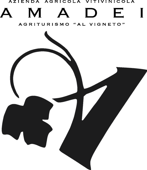 Logo AMADEI FRANCO S.R.L.