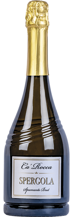 COLLI DI SCANDIANO E DI CANOSSA DOC SPUMANTE BRUT CA' ROCCA 2024
