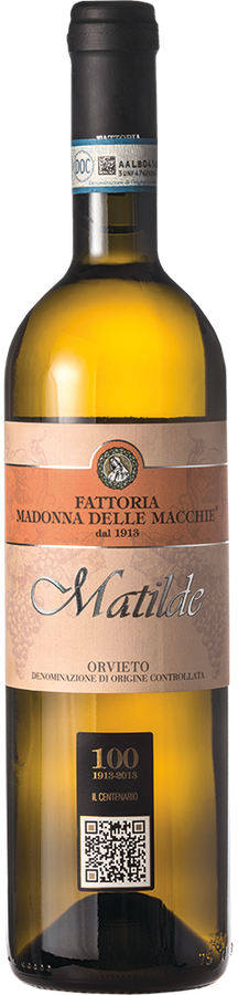 ORVIETO DOC MATILDE 2024