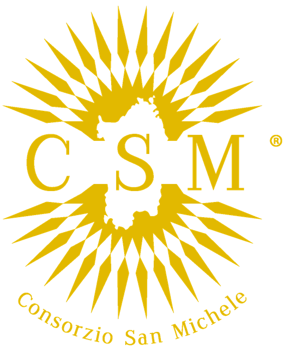 Logo CONSORZIO SAN MICHELE