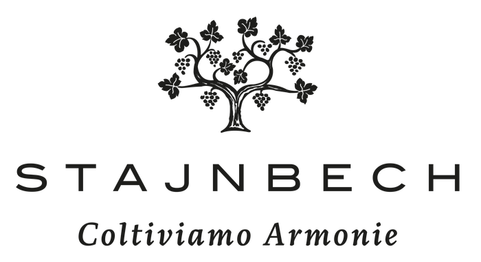 Logo BORGO STAJNBECH