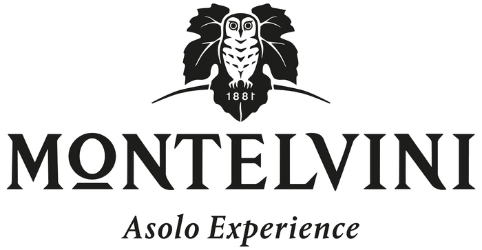 Logo MONTELVINI S.R.L.