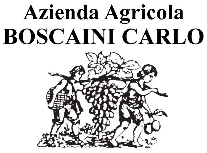 Logo BOSCAINI CARLO