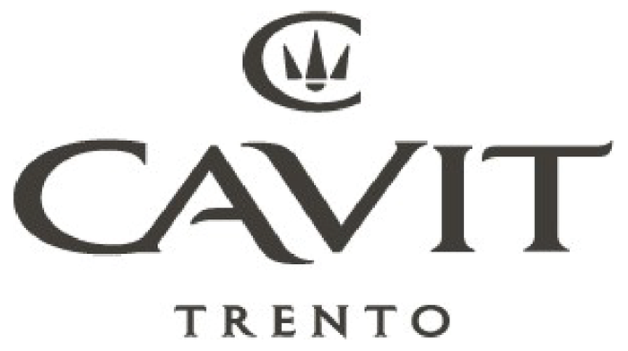Logo CAVIT S.C.