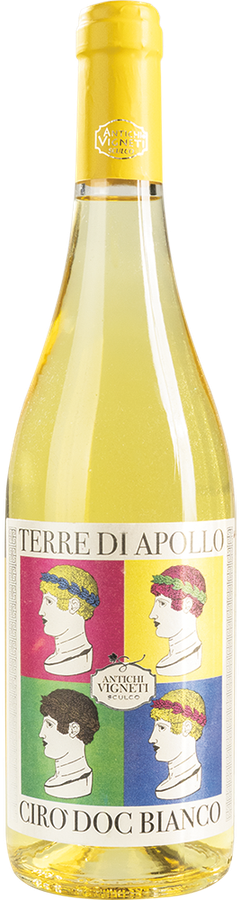 CIRÒ DOC BIANCO TERRE DI APOLLO 2025