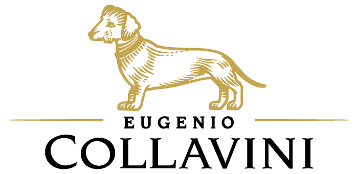 Logo EUGENIO COLLAVINI VITICOLTORI