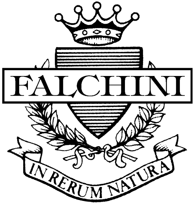 Logo FALCHINI