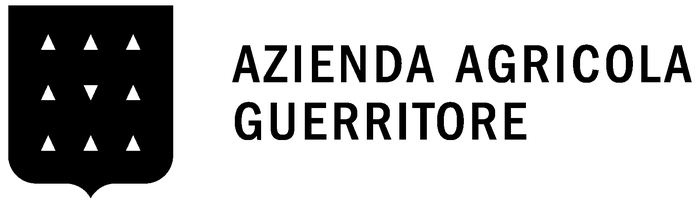 Logo VINI GUERRITORE