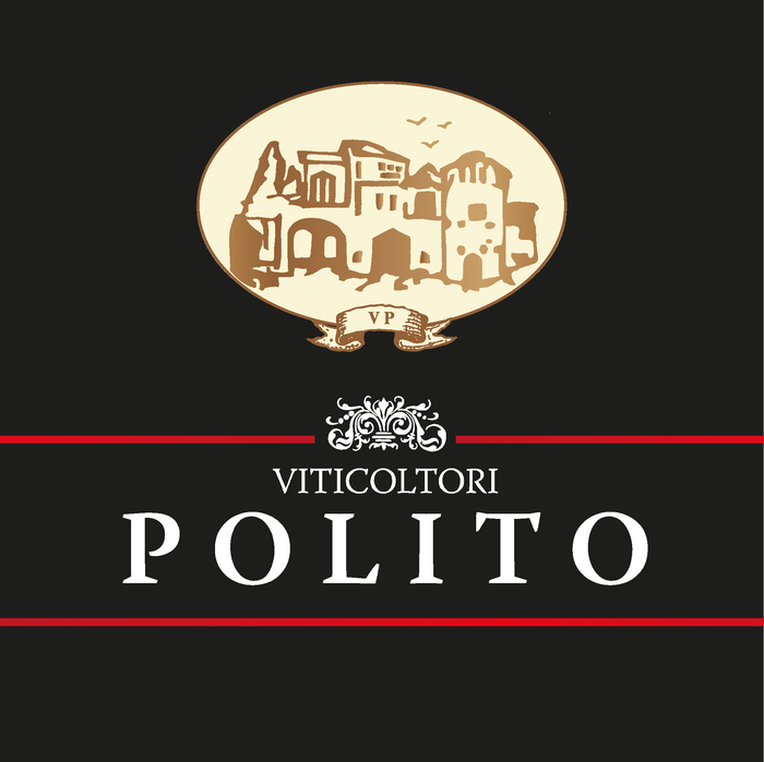 Logo CANTINA POLITO