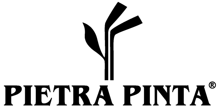 Logo PIETRA PINTA