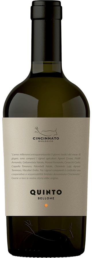 LAZIO IGT BELLONE VINO BIOLOGICO QUINTO 2025
