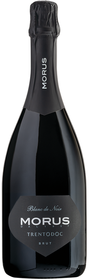 TRENTO DOC BRUT MILLESIMATO BLANC DE NOIRS MORUS 2021