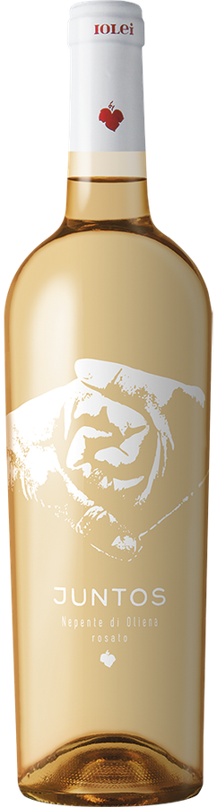 CANNONAU DI SARDEGNA DOC NEPENTE DI OLIENA ROSATO JUNTOS 2025
