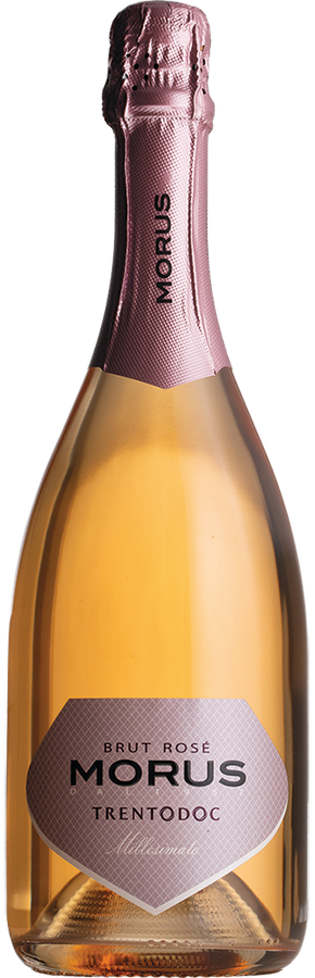 TRENTO DOC BRUT ROSÉ MILLESIMATO MORUS 2022