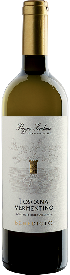 TOSCANA IGT VERMENTINO BENEDICTO 2025