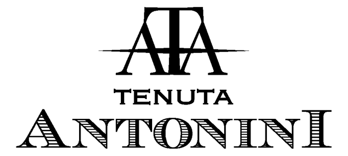 Logo TENUTA ANTONINI ALESSIO