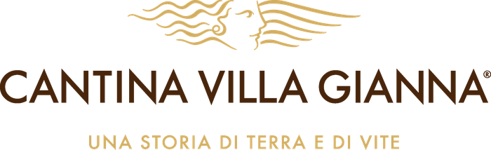 Logo V.G. S.R.L. - CANTINA VILLA GIANNA