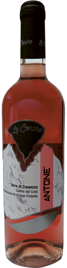 TERRE DI COSENZA DOP ROSATO ANTONÈ 2025