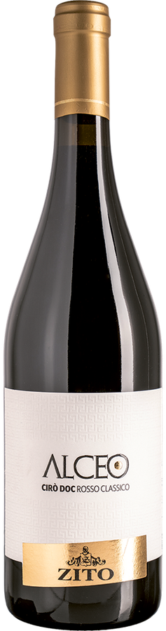 CIRÒ DOC ROSSO CLASSICO ALCEO 2024