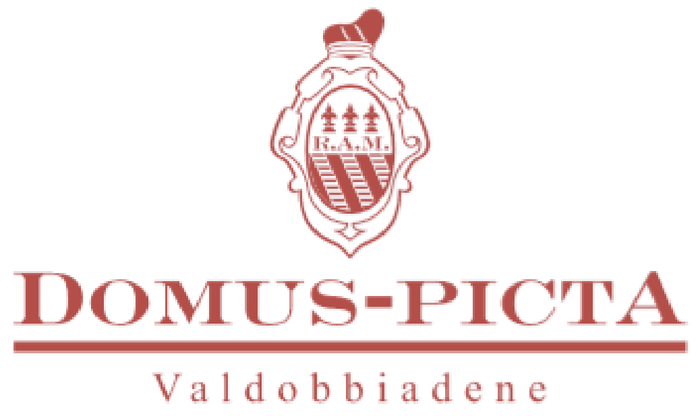 Logo DOMUS-PICTA