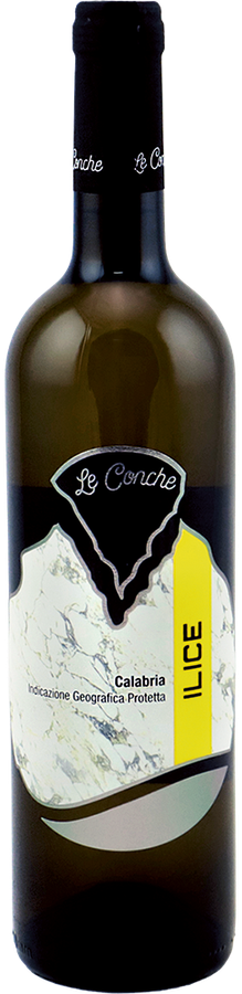 CALABRIA IGP BIANCO ILICE 2025