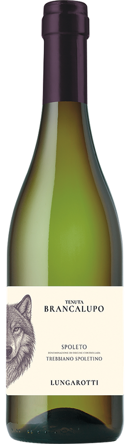 SPOLETO DOC TREBBIANO SPOLETINO TENUTA BRANCALUPO 2024