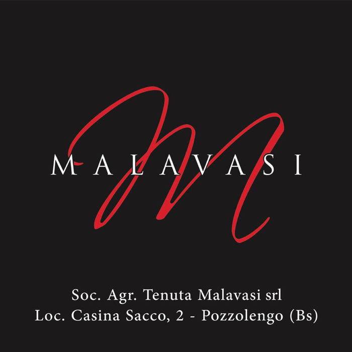 Logo MALAVASI