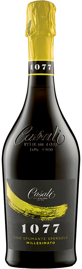 COLLI DI SCANDIANO E DI CANOSSA DOP SPERGOLA SPUMANTE BRUT MILLESIMATO 1077 2024