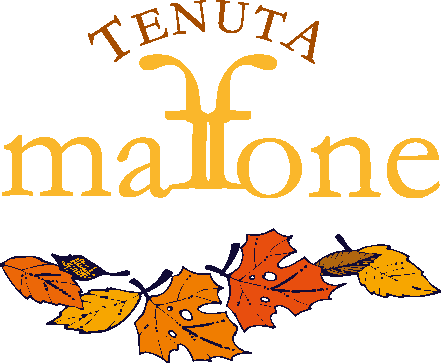 Logo TENUTA MAFFONE