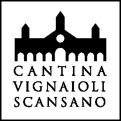 Logo CANTINA VIGNAIOLI DEL MORELLINO DI SCANSANO S.C.A.