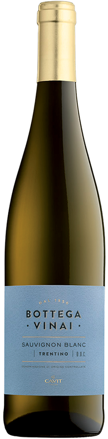 TRENTINO DOC SAUVIGNON BLANC BOTTEGA VINAI 2025
