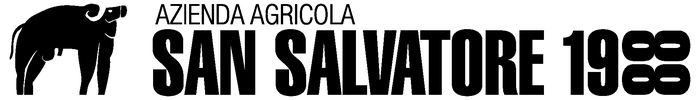 Logo SAN SALVATORE 1988