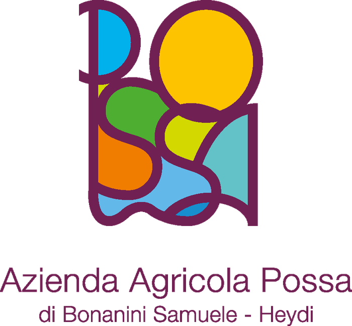 Logo POSSA