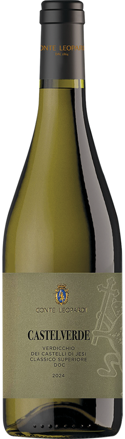 VERDICCHIO DEI CASTELLI DI JESI DOC CLASSICO SUPERIORE CASTELVERDE 2024