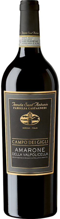 AMARONE DELLA VALPOLICELLA DOCG CAMPO DEI GIGLI 2019