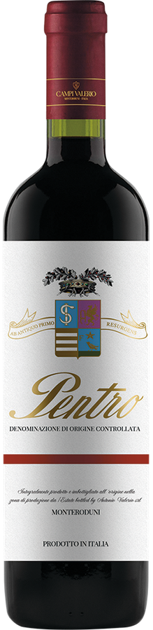 PENTRO DI ISERNIA DOC ROSSO 2019