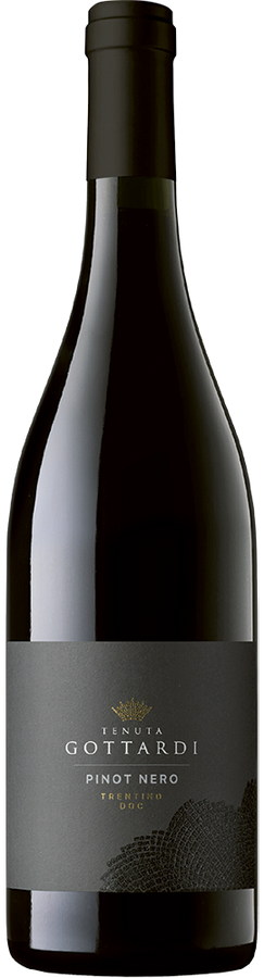 TRENTINO DOC PINOT NERO 2022