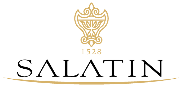 Logo SALATIN