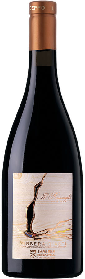 BARBERA D'ASTI DOCG IL RISVEGLIO DEL CEPPO 2023