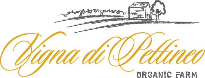 Logo VIGNA DI PETTINEO