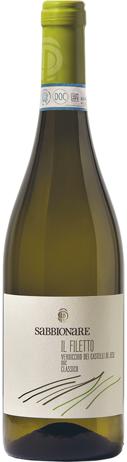 VERDICCHIO DEI CASTELLI DI JESI DOC CLASSICO IL FILETTO 2024