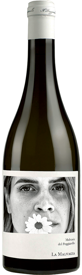 EMILIA IGT MALVASIA LA MALVAGIA 2024