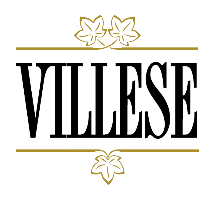 Logo OLEARIA E VINICOLA VILLESE