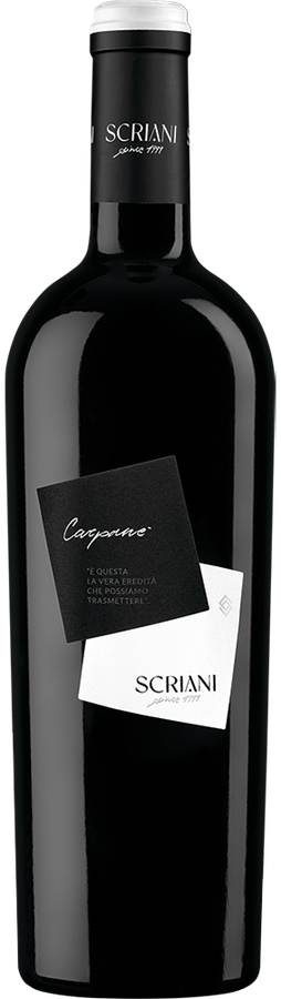 VERONA IGT CORVINA CARPANÈ 2019